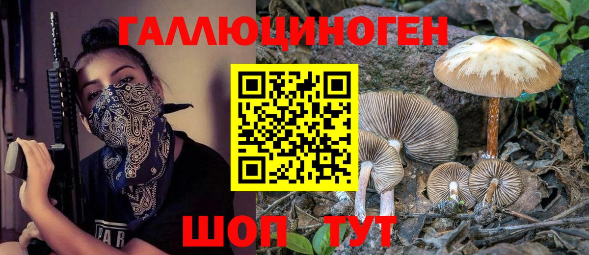 Северобайкальск  Псилоцибиновые грибы ЛСД  Вход с VPN  Псилоцибиновые грибы Cubensis 